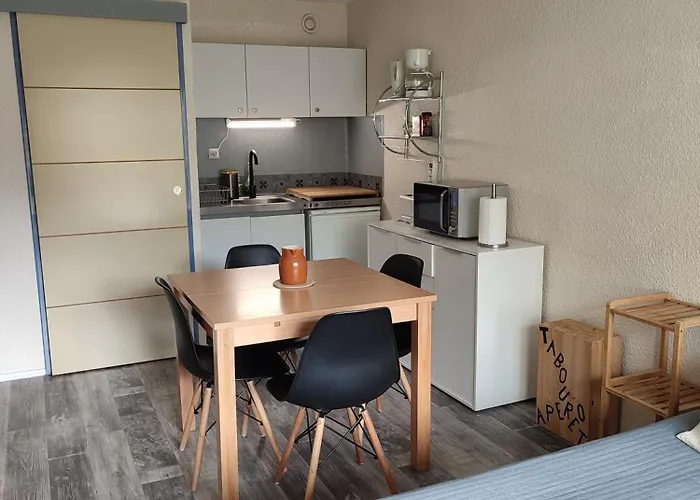 דירה Pla D' Adet, 4 Personnes Le Grand Stemm , Station De Lary , Pieds Des Pistes Et Randonnees *