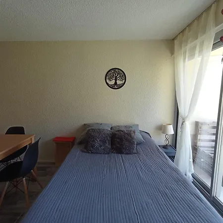 Apartment Pla D' Adet, 4 Personnes Le Grand Stemm , Station De Lary , Pieds Des Pistes Et Randonnees *