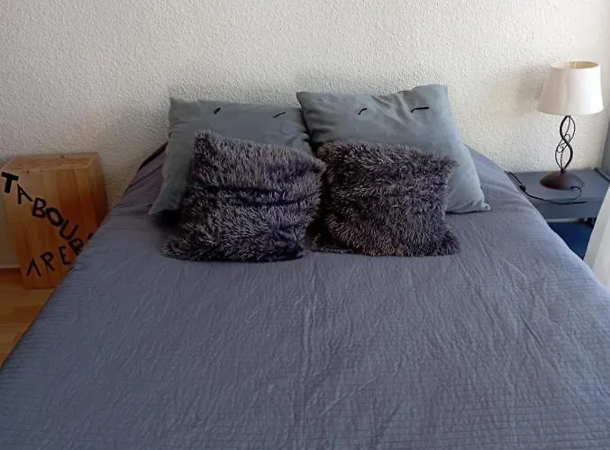 Pla D' Adet, 4 Personnes Le Grand Stemm , Station De Lary , Pieds Des Pistes Et Randonnees サン・ラリー・スラン